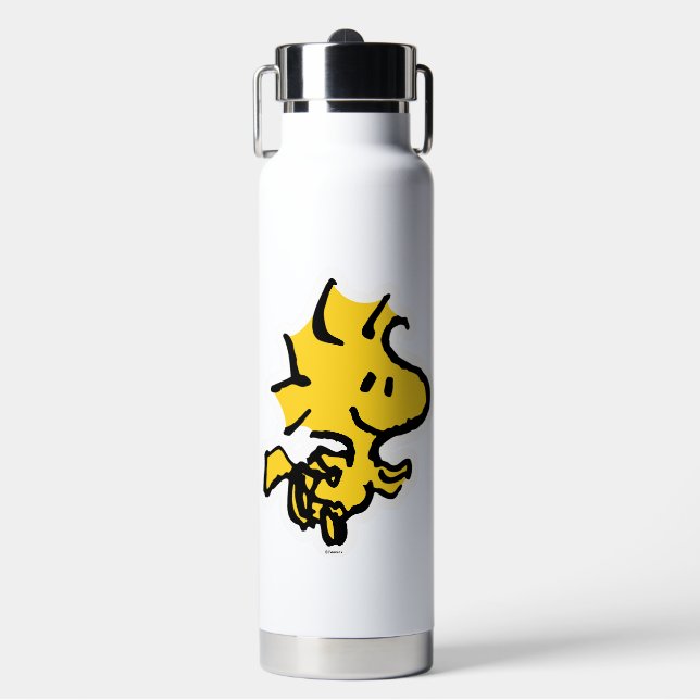 Bouteille D'eau Snoopy & Woodstock Fun & Flowers (Salle de sport)