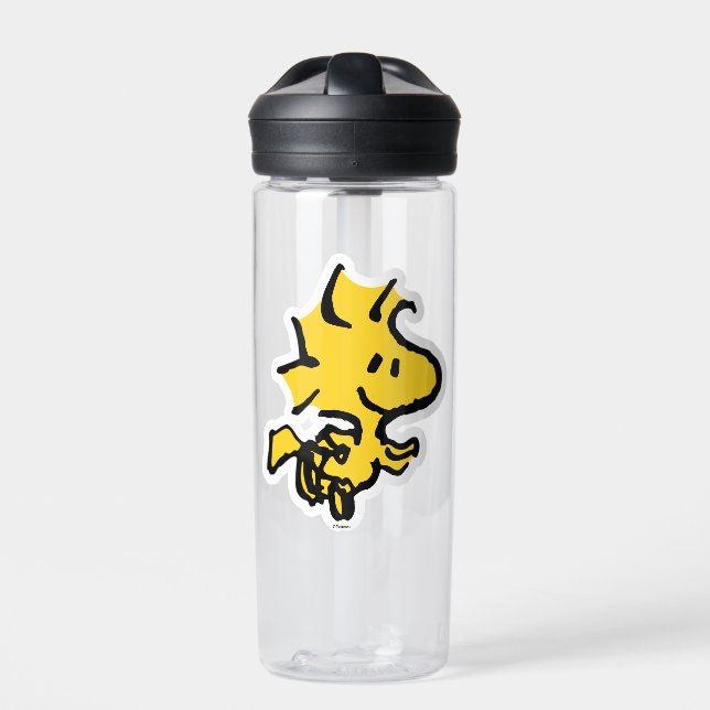 Bouteille D'eau Snoopy & Woodstock Fun & Flowers (Extérieur)