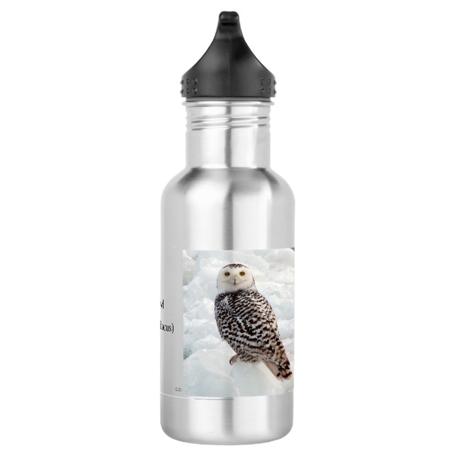 Bouteille d'eau Snowy Owl (Droite)