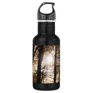 Bouteille D'eau Soleil forestier