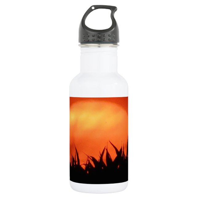 Bouteille D'eau Soleil rouge derrière l'herbe noire (Devant)