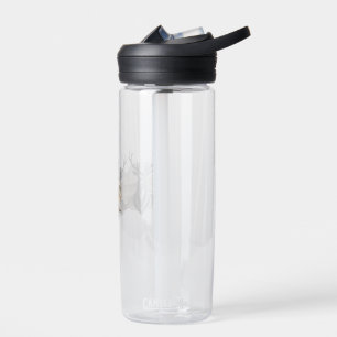 Bouteille D'eau Stag Majestic - Esprit sauvage