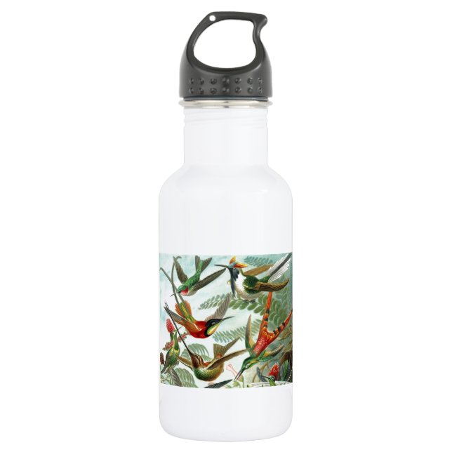 Bouteille D'eau tableau classique de la faune des oiseaux colibris (Devant)