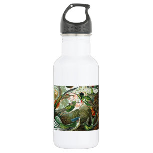 Bouteille D'eau tableau classique de la faune des oiseaux colibris