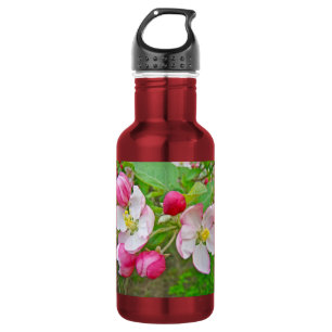 Bouteille D'eau Temps de floraison des pommiers