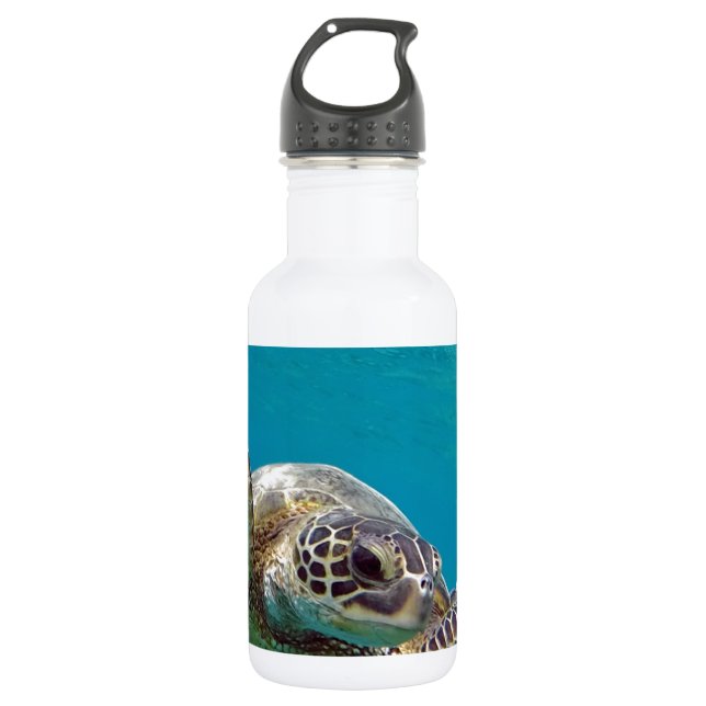 Bouteille D'eau Tortue de mer verte d'Hawaï - Honu (Devant)