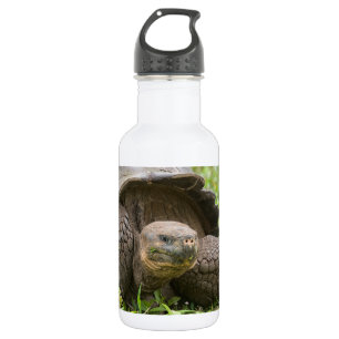 Bouteille D'eau Tortue géante