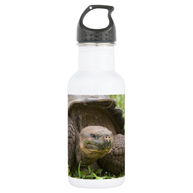 Bouteille D'eau Tortue géante (Devant)