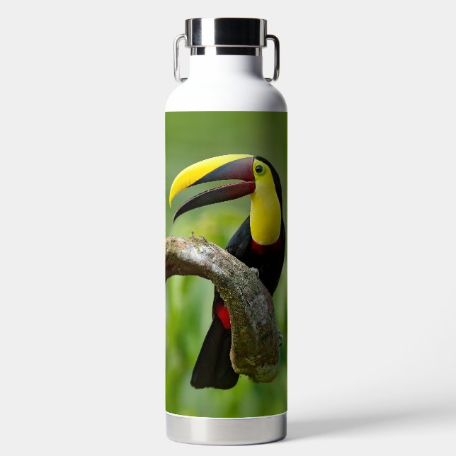 Bouteille D'eau Toucan assis sur la branche dans la forêt (Avant)