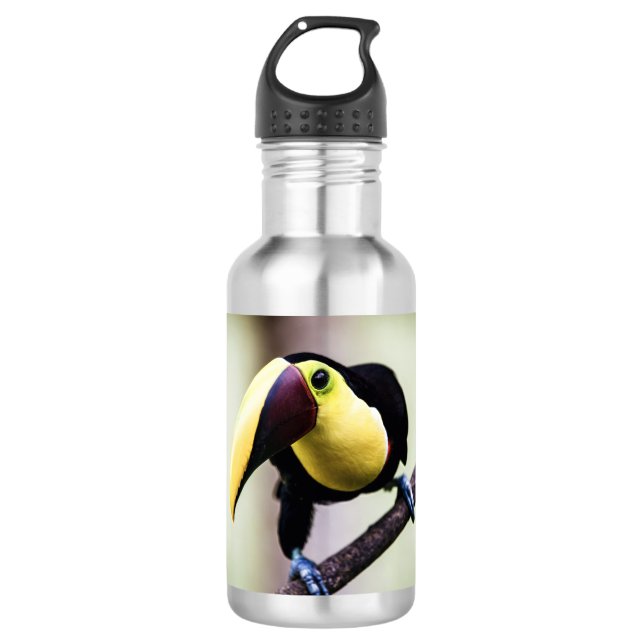 Bouteille D'eau Toucan du Costa Rica (Devant)