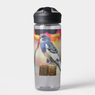 Bouteille D'eau Touche