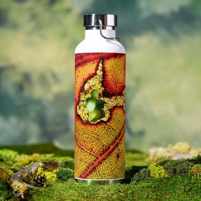 Bouteille D'eau Trou dans l'aile (Café)