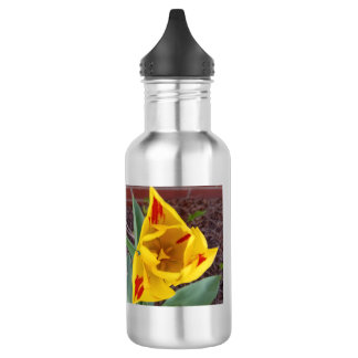 Bouteille d'eau Tulipe Jaune