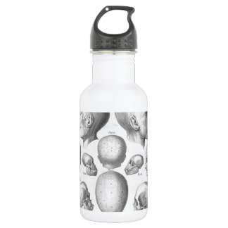 Bouteille D'eau Types de crâne