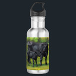 Bouteille D'eau Vache d'Angus noir et veau mou en pâturage d'été<br><div class="desc">Le Black Angus est une race écossaise de bovins de boucherie qui provient de races de bovins originaires d'Aberdeen, de Banff, de Kincardine et d'Angus dans le nord-est de l'Écosse. Leur couleur est toujours noire, et ils n'ont pas de cornes. Il s'agit d'une petite race grasse qui est populaire pour...</div>