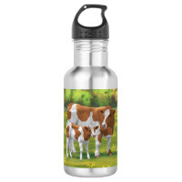 Vache de Guernesey et veau mignon dans les pâturag