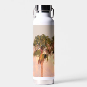 Bouteille d'eau Vacuum isolé