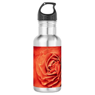 Bouteille D'eau vivant rose