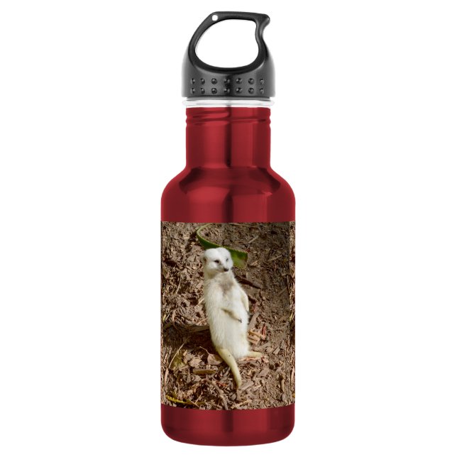 Bouteille D'eau White Meerkat Standing, (Devant)