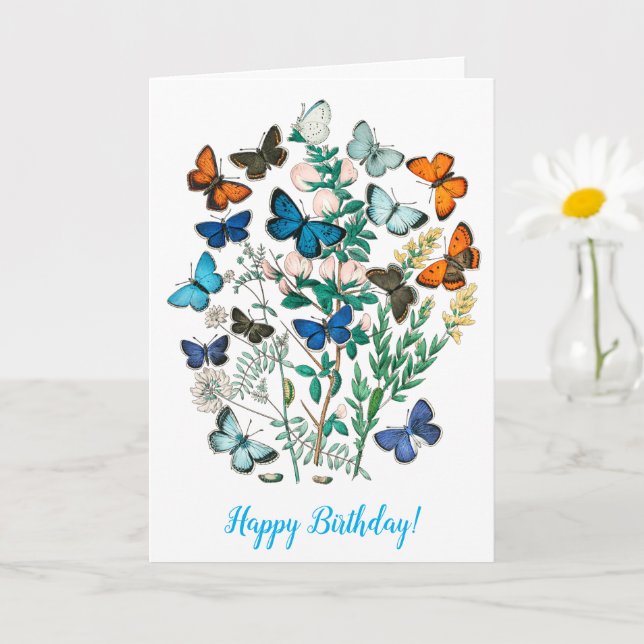 BOUTEILLES EN CARTE D'ANNIVERSAIRE NATURE (Petite plante)