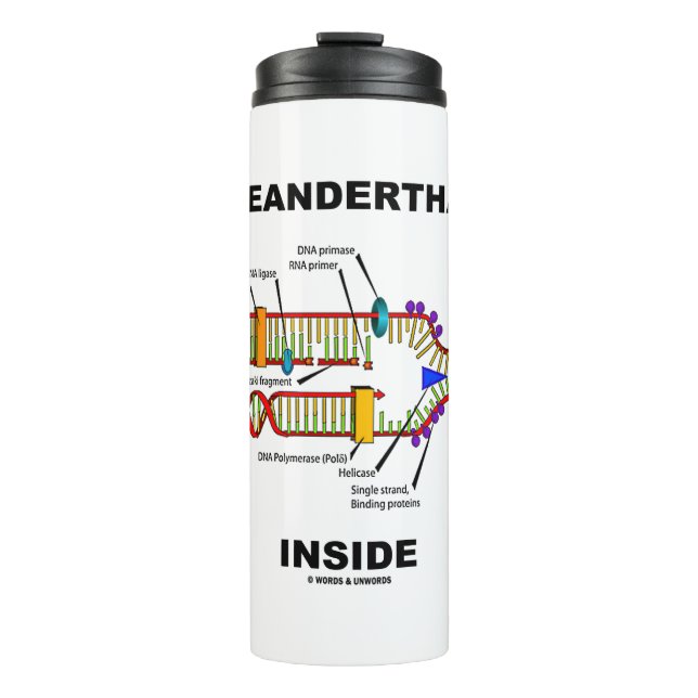 Bouteilles Isothermes 2,5 % ADN néandertal à l'intérieur de la réplicati (Devant)