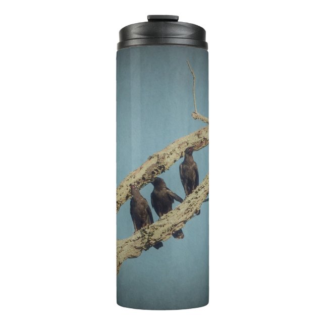 Bouteilles Isothermes 3 corneilles (Devant)