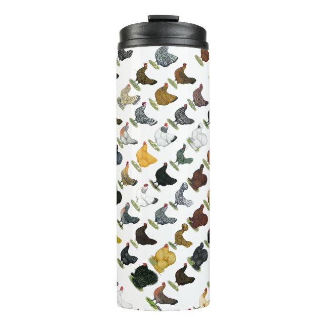 Bouteilles Isothermes 49 poules de poulet (Devant)