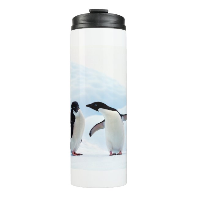 Bouteilles Isothermes Adelie Penguins (Devant)