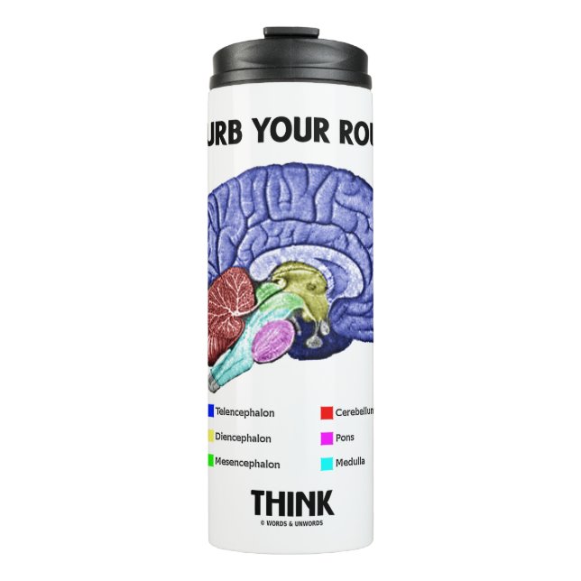 Bouteilles Isothermes Advice Disturb Your Routine Think Brain Anatomy (Devant)