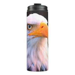 Bouteilles Isothermes Aigle