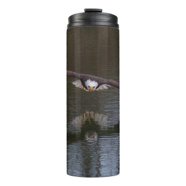 Bouteilles Isothermes Aigle de Bald en vol (Devant)