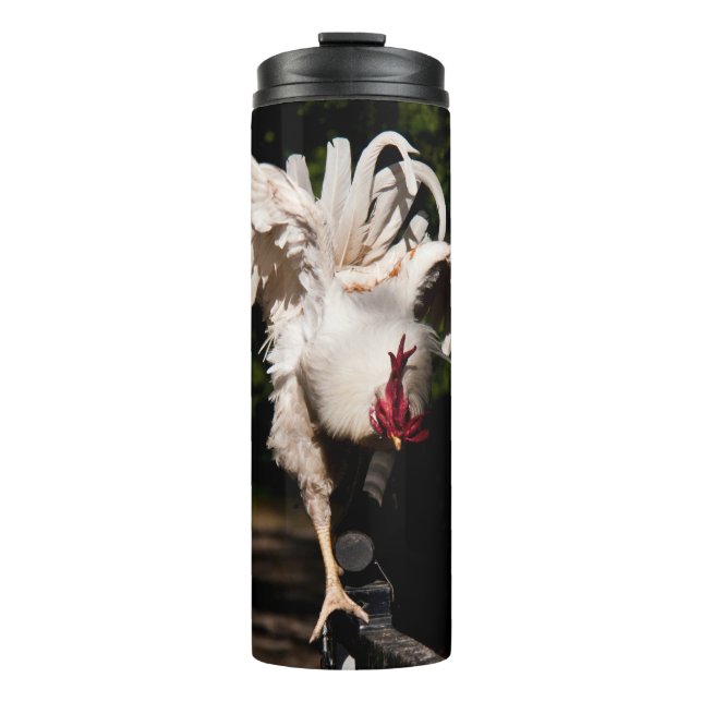 Bouteilles Isothermes Ailes à battant de coq (Devant)
