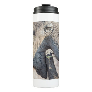 Bouteilles Isothermes Alimentation des éléphants