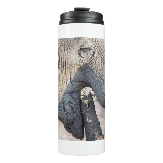 Bouteilles Isothermes Alimentation des éléphants (Devant)