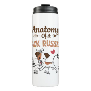 Bouteilles Isothermes Anatomie D'Un Jack Russell Terrier