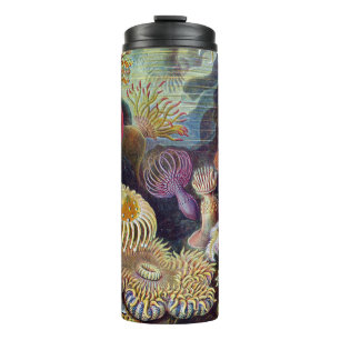 Bouteilles Isothermes Anémones de mer sous-marines vintage par Ernst Hae