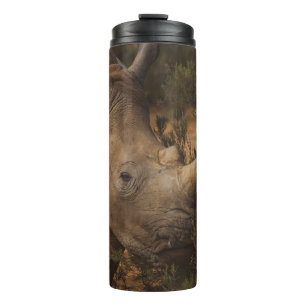 BOUTEILLES ISOTHERMES ANIMAUX SAUVAGES RHINO