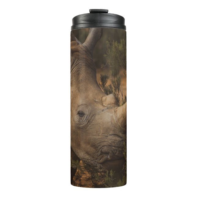 BOUTEILLES ISOTHERMES ANIMAUX SAUVAGES RHINO (Devant)