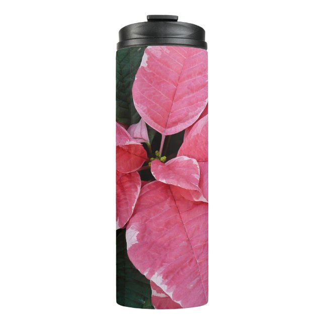 Bouteilles Isothermes Argent Star Marbre Poinsettias Pink Holiday Floral (Devant)