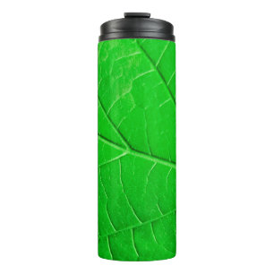 Bouteilles Isothermes Arrière - plan plante de l'écologie des feuilles