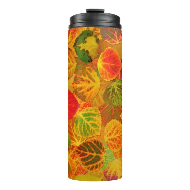 Bouteilles Isothermes Aspen Feuilles Collage Solid Medley 1 (Devant)