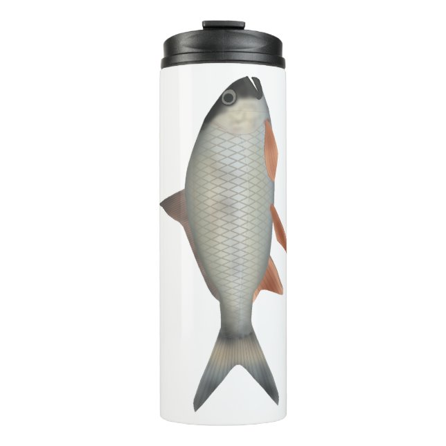 Bouteilles Isothermes Assamese Kingfish (Devant)
