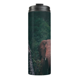 BOUTEILLES ISOTHERMES ASSEZ ÉLÉPHANT