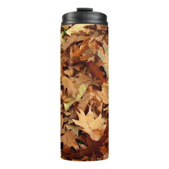 Bouteilles Isothermes automne, feuille sec (Devant)