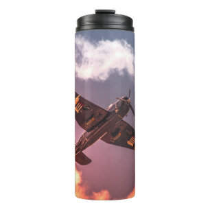 Bouteilles Isothermes Avion vintage magnifique ciel