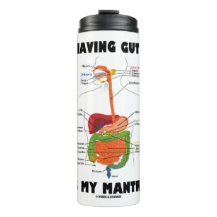 Bouteilles Isothermes Avoir Des Astuces Est Mon Mantra Système Digestif