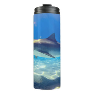 Bouteilles Isothermes Baignade de requins Eau bleu de l'océan