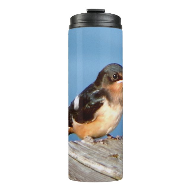 Bouteilles Isothermes Barre Swallow thermo tumbler (Devant)