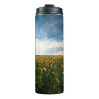beau champ de fleurs de soleil avec ciel bleu nuag