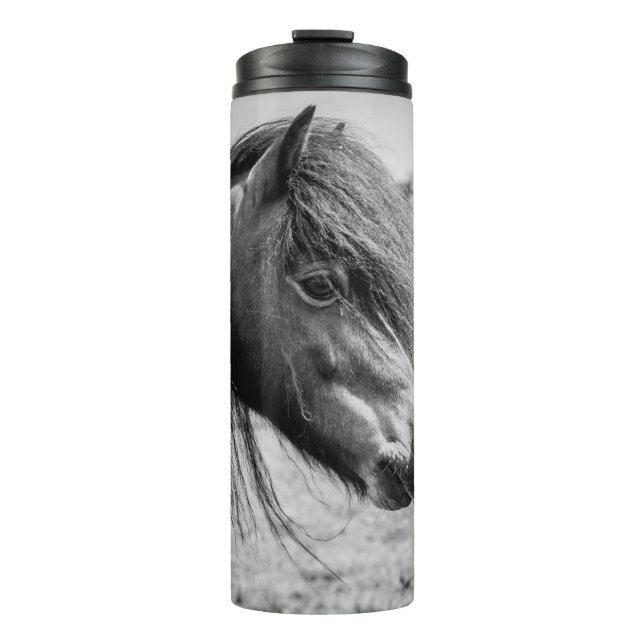 BOUTEILLES ISOTHERMES BEAU CHEVAL (Devant)